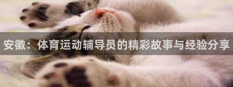 中欧都有哪些国家