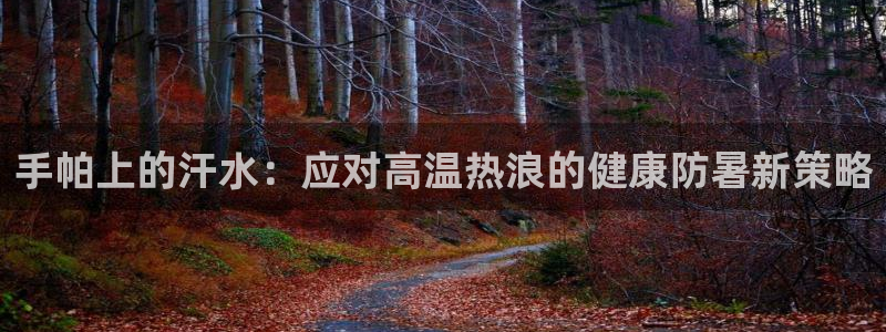 中欧制造升级混合c是什么基金：手帕上的汗水：应对高温热浪的健康防暑新策略