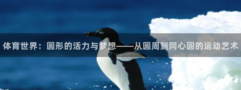 中欧法学院