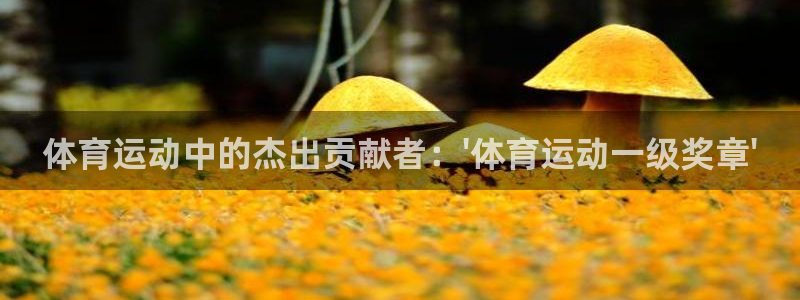 中欧MiM课程：体育运动中的杰出贡献者：\'体育运动一级奖章\'