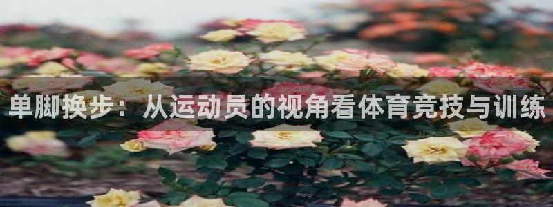 中欧oooup是杂牌子还是名牌：单脚换步：从运动员的视角看体育竞技与训练
