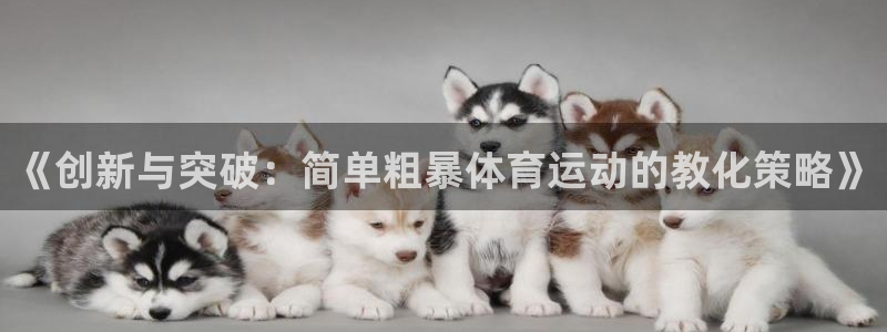 中欧体育app下载官网