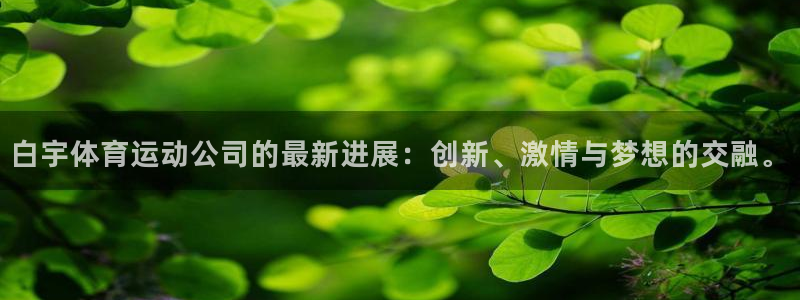 中欧潘锋最新任命：白宇体育运动公司的最新进展：创新、激情与梦想的交融。